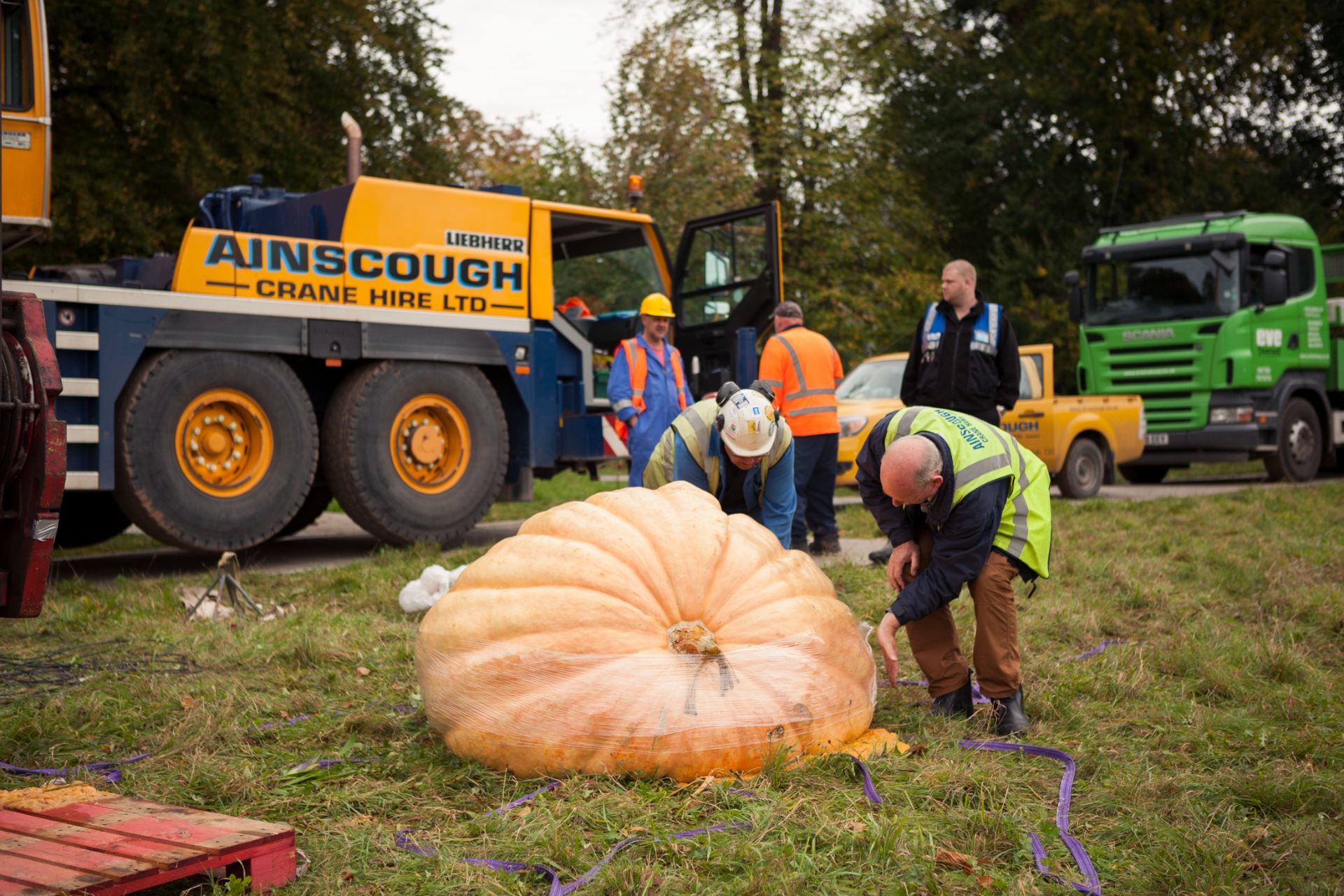 Artist Melanie Jackson launches her new publication The Nexus with a series of performance events at the University of Bristol's Botanic Gardens including the release of a giant pumpkin from the full height of a crane, 2013. Photo: Max McClure